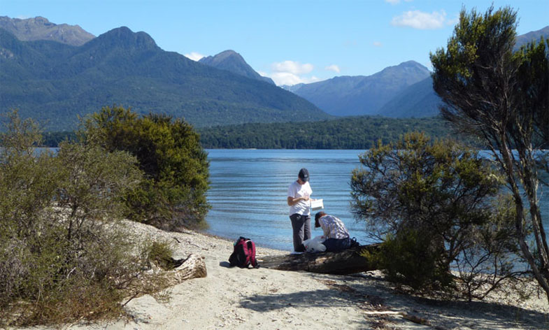 Field photo of sampling in New Zealand