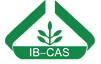 IBCAS Logo