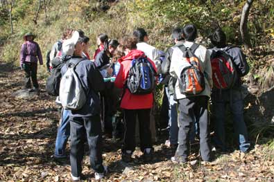 Class sampling leaves in China