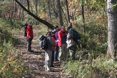 Sampling along a woodland path