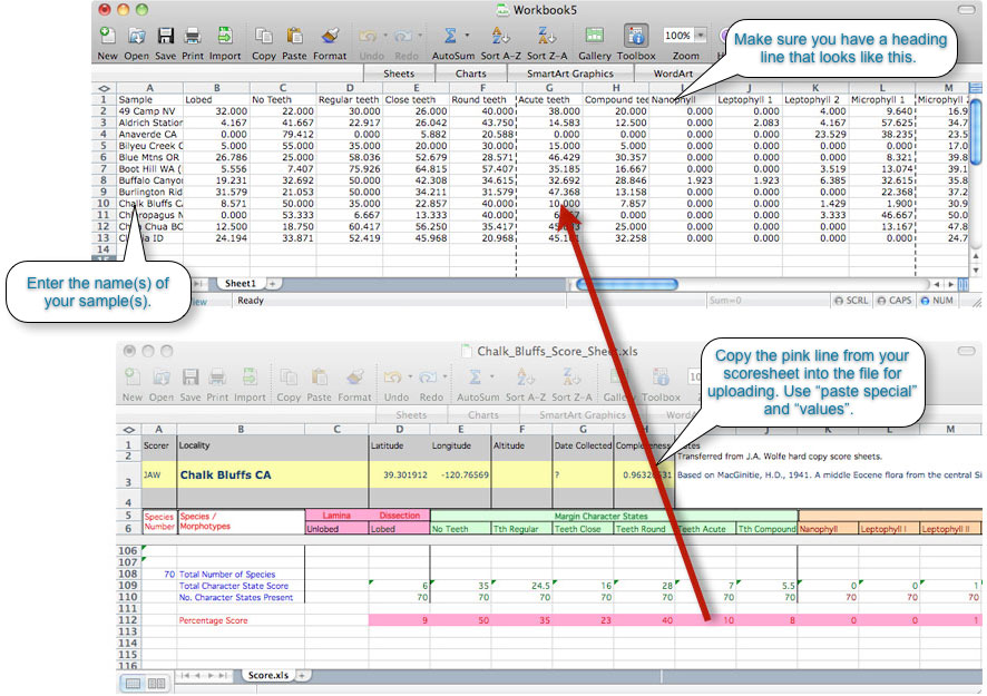 Example of how to create a file for analysis