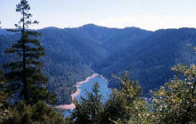 View of an E-W trending valley showing different vegetation on N and S facing slopes