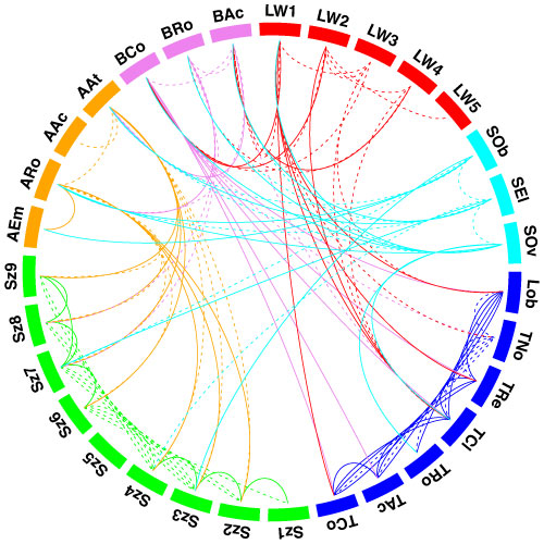 Linkage diagram showing how leaf characaters are correlated