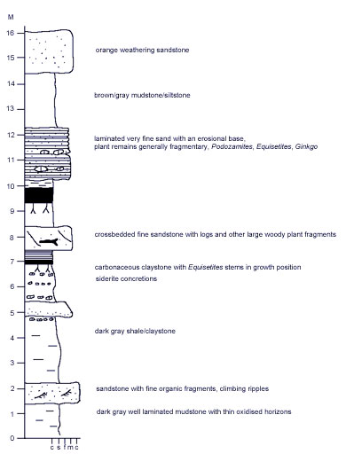 represntative sedimentary log of the 85JTP02 section