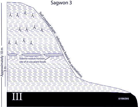 graphic showing the Sagwon section 3 sediments