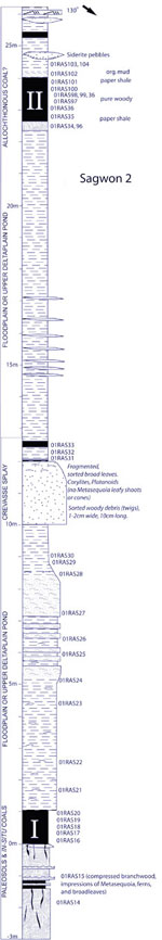 reduced size log of Sagwon section 2