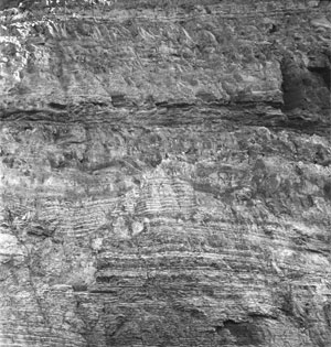 Photo of the contact between the Val;anginian and overlying Ginter Formation, Ugolnaya Bay