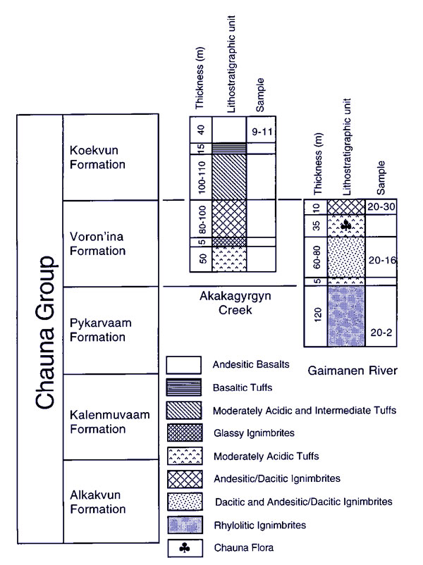 Lithostratigraphy of the Chauna area