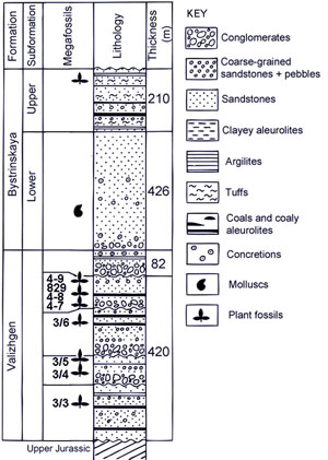 reduced size graphic showing the stratigraphy of the Kongloneratov Peninsula
