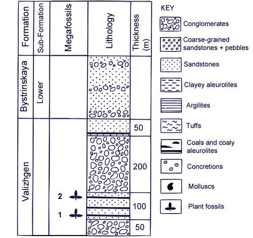 Lithologies and stratigraphy of the Cretaceous sediments in the vicinity of the Yelistratov Peninsula.