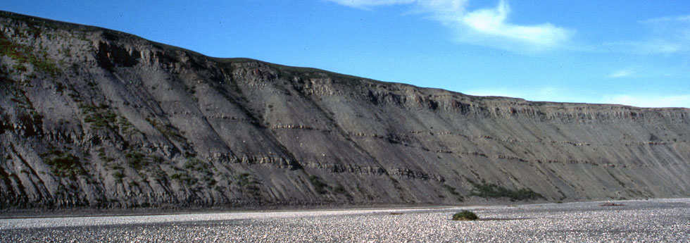 Field photograph of the predomantly marine section near 85JTO03