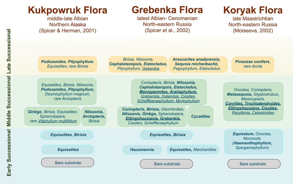 Diagram showing plant community succession based on Kukpowruk, Grebenka and Koryal Floras