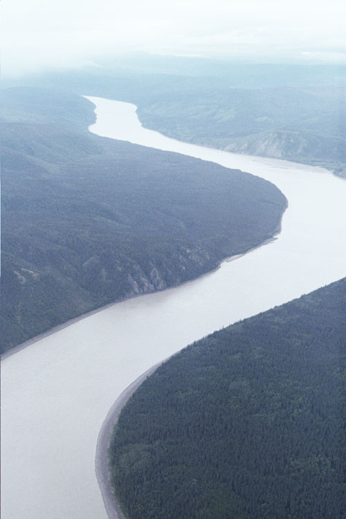 Aeerial photograph of plant-bearing sections along the yukon River